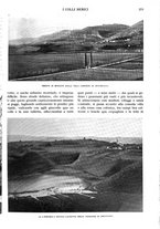 giornale/RAV0108470/1934/unico/00000239