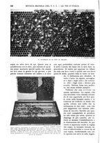 giornale/RAV0108470/1934/unico/00000250