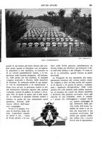 giornale/RAV0108470/1934/unico/00000255