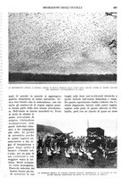 giornale/RAV0108470/1934/unico/00000499