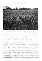 giornale/RAV0108470/1934/unico/00000537