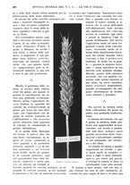 giornale/RAV0108470/1934/unico/00000540