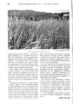 giornale/RAV0108470/1934/unico/00000548