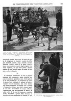 giornale/RAV0108470/1934/unico/00000657