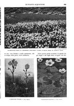 giornale/RAV0108470/1934/unico/00000757