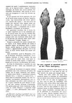 giornale/RAV0108470/1934/unico/00000783