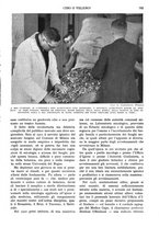 giornale/RAV0108470/1934/unico/00000845