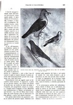 giornale/RAV0108470/1934/unico/00000919