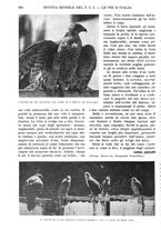 giornale/RAV0108470/1934/unico/00000924