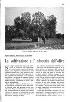 giornale/RAV0108470/1934/unico/00001013