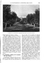 giornale/RAV0108470/1934/unico/00001017