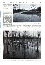 giornale/RAV0108470/1935/unico/00000207