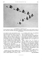 giornale/RAV0108470/1935/unico/00000443