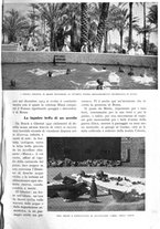 giornale/RAV0108470/1935/unico/00000551