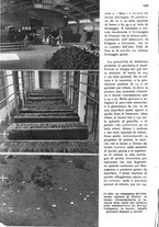 giornale/RAV0108470/1935/unico/00000706