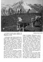 giornale/RAV0108470/1935/unico/00000716