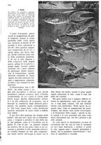 giornale/RAV0108470/1935/unico/00000851