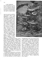 giornale/RAV0108470/1935/unico/00000853