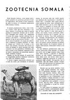 giornale/RAV0108470/1935/unico/00000924