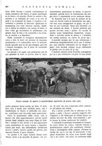 giornale/RAV0108470/1935/unico/00000929