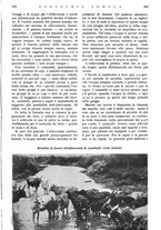 giornale/RAV0108470/1935/unico/00000931