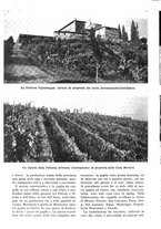 giornale/RAV0108470/1935/unico/00000988