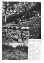 giornale/RAV0108470/1936/unico/00000022