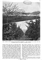 giornale/RAV0108470/1936/unico/00000027