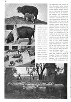 giornale/RAV0108470/1936/unico/00000034