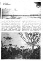 giornale/RAV0108470/1936/unico/00000057