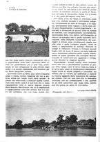 giornale/RAV0108470/1936/unico/00000058