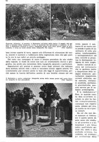 giornale/RAV0108470/1936/unico/00000072