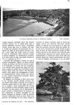 giornale/RAV0108470/1936/unico/00000179