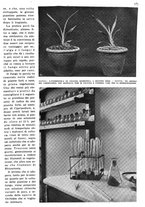 giornale/RAV0108470/1936/unico/00000189