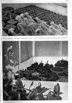 giornale/RAV0108470/1936/unico/00000191