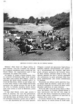 giornale/RAV0108470/1936/unico/00000228