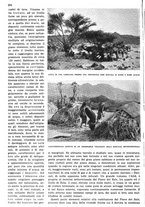 giornale/RAV0108470/1936/unico/00000256