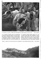 giornale/RAV0108470/1936/unico/00000270