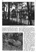 giornale/RAV0108470/1936/unico/00000286
