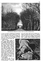 giornale/RAV0108470/1936/unico/00000287