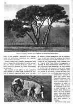 giornale/RAV0108470/1936/unico/00000292