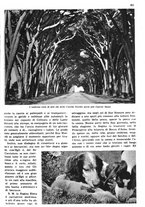 giornale/RAV0108470/1936/unico/00000293