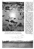 giornale/RAV0108470/1936/unico/00000296