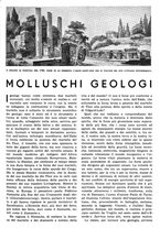 giornale/RAV0108470/1936/unico/00000403