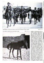 giornale/RAV0108470/1936/unico/00000408