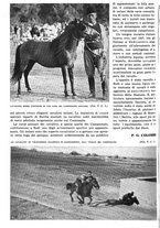 giornale/RAV0108470/1936/unico/00000410