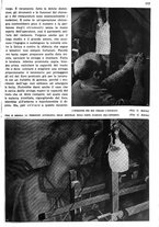 giornale/RAV0108470/1936/unico/00000415