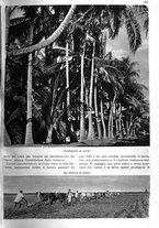 giornale/RAV0108470/1936/unico/00000429