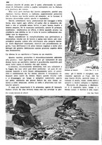 giornale/RAV0108470/1936/unico/00000534