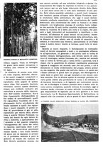 giornale/RAV0108470/1936/unico/00000573